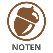 noten-icon